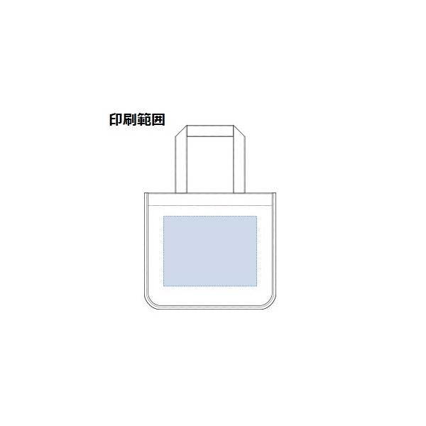 エコバッグ 横型 コットン 丈夫な生地 マイバッグ 格安 記念品 景品 ノベルティ 小ロット ウォッシュキャンバス ホリデートート Mサイズ