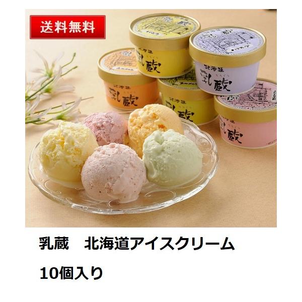 乳蔵 北海道アイスクリーム10個セット 5種 送料無料 お取り寄せ スイーツ デザート グルメ 贈り物 お歳暮 御年賀 お中元 内祝い 返礼品