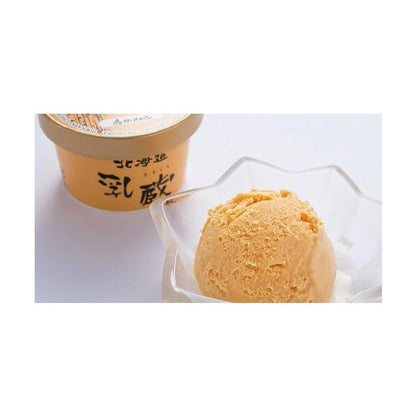 乳蔵 北海道アイスクリーム10個セット 5種 送料無料 お取り寄せ スイーツ デザート グルメ 贈り物 お歳暮 御年賀 お中元 内祝い 返礼品