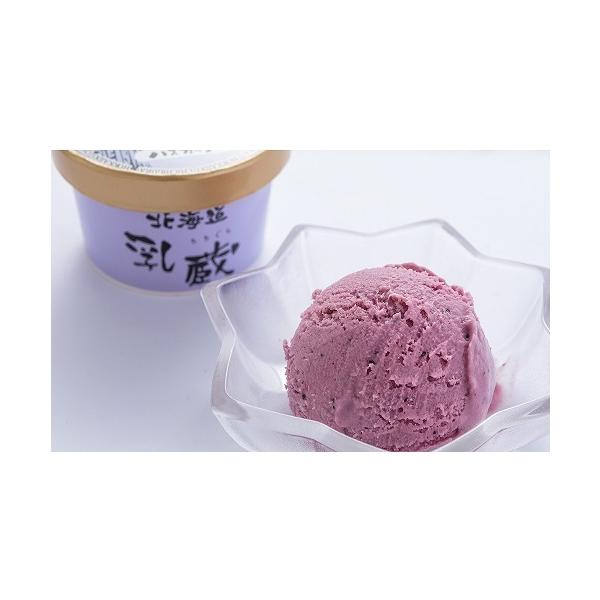 乳蔵 北海道アイスクリーム10個セット 5種 送料無料 お取り寄せ スイーツ デザート グルメ 贈り物 お歳暮 御年賀 お中元 内祝い 返礼品