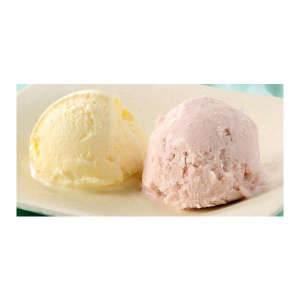 乳蔵 北海道アイスクリーム10個セット 5種 送料無料 お取り寄せ スイーツ デザート グルメ 贈り物 お歳暮 御年賀 お中元 内祝い 返礼品