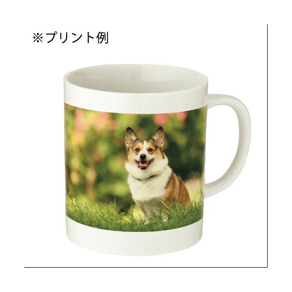 マグカップ 310ml 陶器 食器 フルカラー印刷対応 記念品 ノベルティ 小ロット 陶器マグ ストレート Mサイズ