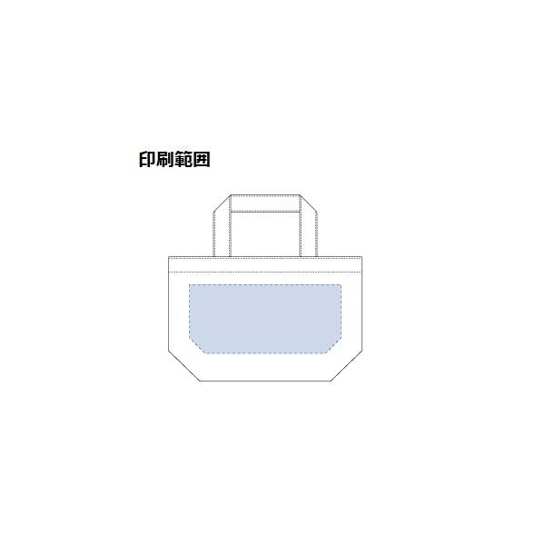 エコバッグ サブバッグ ミニバッグ コットン 10オンス ノベルティ キャンバスデイリートート Sサイズ ナチュラル