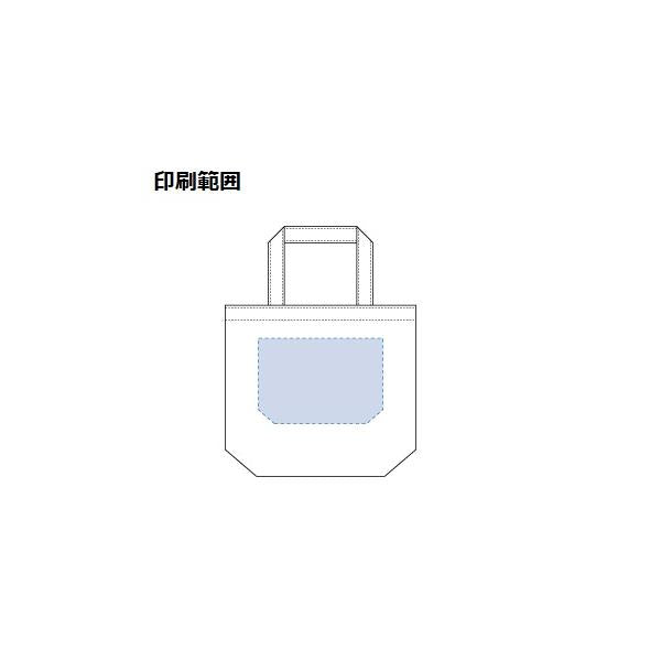 エコバッグ サブバッグ ランチバッグ コットン 10オンス ノベルティ キャンバスデイリートート SMサイズ ナチュラル