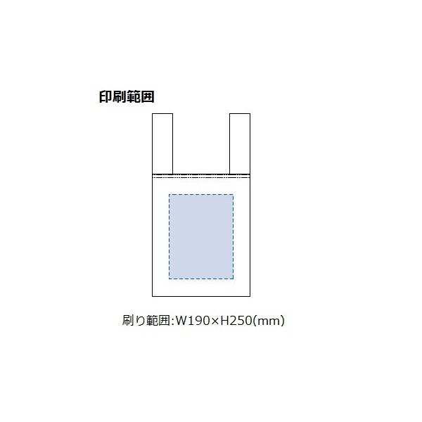 エコバッグ レジ袋代わり 不織布 マイバッグ 買い物バッグ 不織布レジバッグ