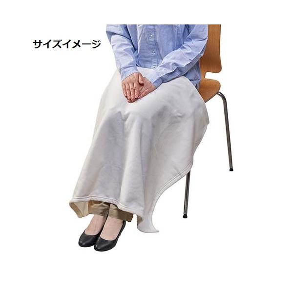 ブランケット ひざ掛け バッグ付 フリース あったかグッズ プチギフト スムースフリースブランケット バッグ付
