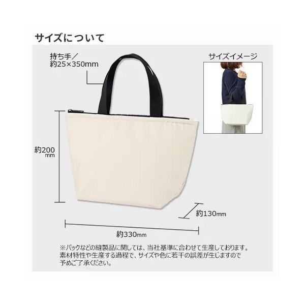 ランチバッグ 保冷温 アルミ蒸着 幅広マチ エコバッグ ファスナー ノベルティ 小ロット 保冷ベーシックトート Sサイズ