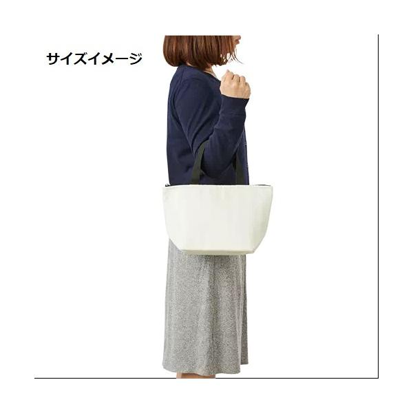 ランチバッグ 保冷温 アルミ蒸着 幅広マチ エコバッグ ファスナー ノベルティ 小ロット 保冷ベーシックトート Sサイズ
