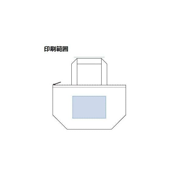 ランチバッグ 保冷温 アルミ蒸着 幅広マチ エコバッグ ファスナー ノベルティ 小ロット 保冷ベーシックトート Sサイズ