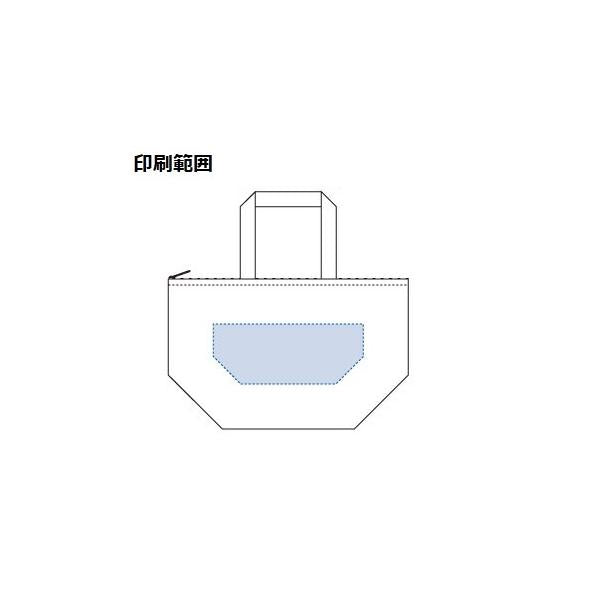 保冷温バッグ アルミ蒸着 幅広マチ エコバッグ 買い物バッグ ファスナー ノベルティ 小ロット 保冷ベーシックトート Mサイズ