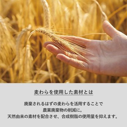 ボールペン エコ素材 SDGs 記念品 エコボールペン 麦わら配合タイプ