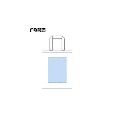 エコバッグ A4サイズ コットン イベントバッグ 展示会バッグ 厚手コットンA4フラットトート ナチュラル