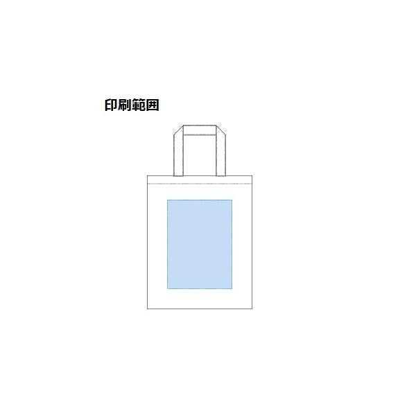 エコバッグ A4サイズ コットン イベントバッグ 展示会バッグ 厚手コットンA4フラットトート