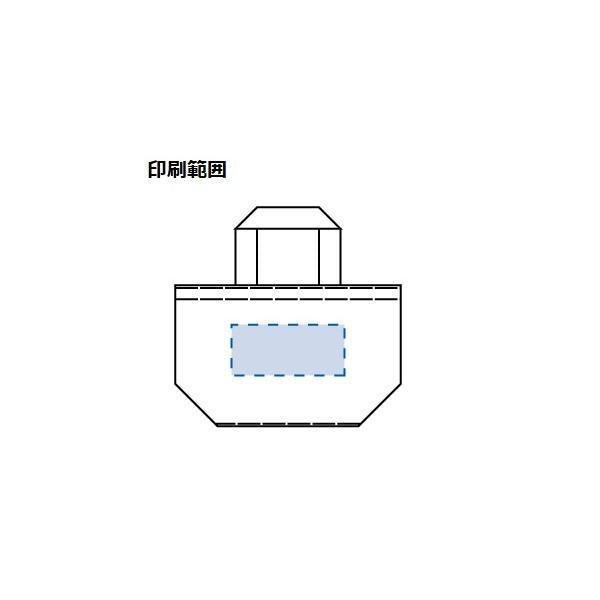 レジャーバッグ ランドリーバッグ エコバッグ マチ付 雨の日バッグ エコ素材 SDGs ノベルティ デイリーレジャートート Ｍサイズ