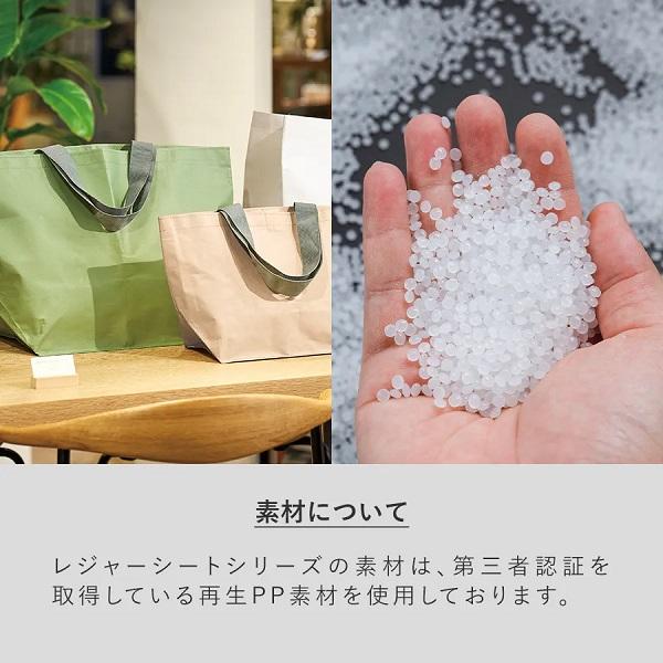 レジャーバッグ ランドリーバッグ エコバッグ マチ付 雨の日バッグ エコ素材 SDGs ノベルティ デイリーレジャートート Ｍサイズ