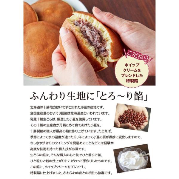 乳蔵 北海道十勝生どら 10個セット 送料無料 お取り寄せ スイーツ デザート グルメ 個包装 贈り物 お歳暮 御年賀 お中元 内祝い 返礼品